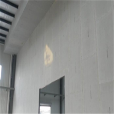 德安宁波ALC板|EPS加气板隔墙与混凝土整浇联接的实验研讨